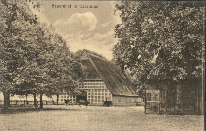 Ostrittrum Bauernhof Kühe