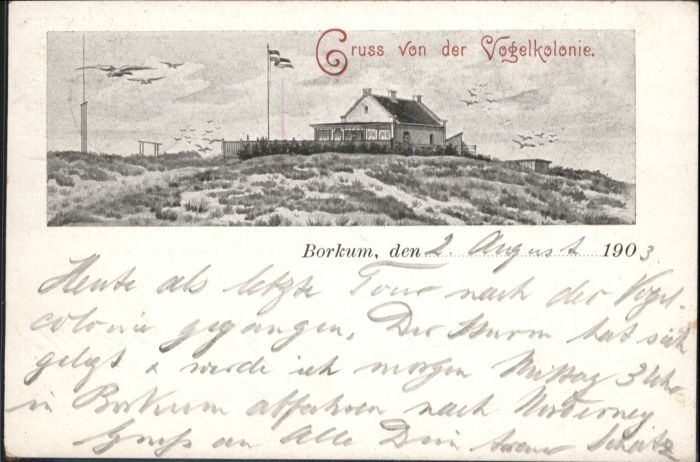Borkum Vogelkolonie