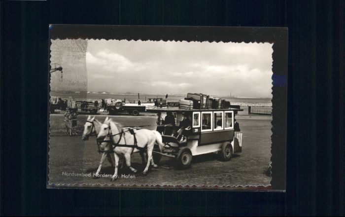 Norderney Nordseebad Norderney Hafen Pferd Kutsche