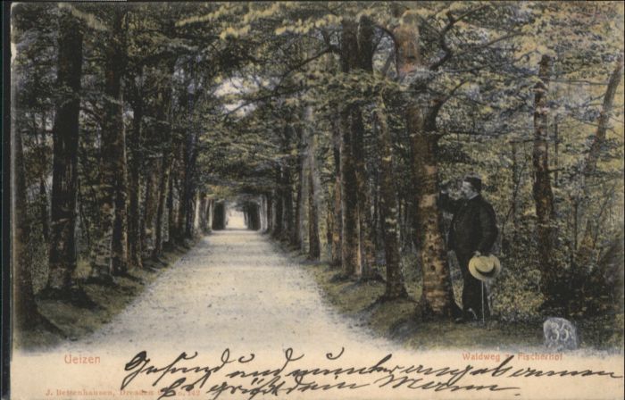 Uelzen Lueneburger Heide Uelzen Fischerhof Waldweg
