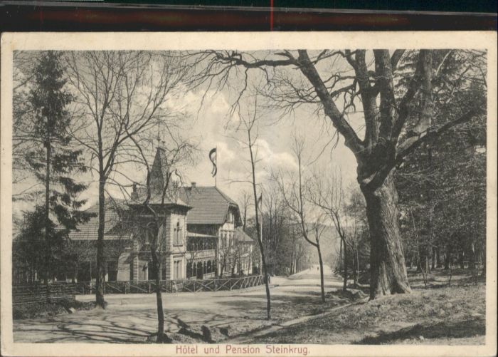 Bennigsen Deister Hotel Pension Steinkrug