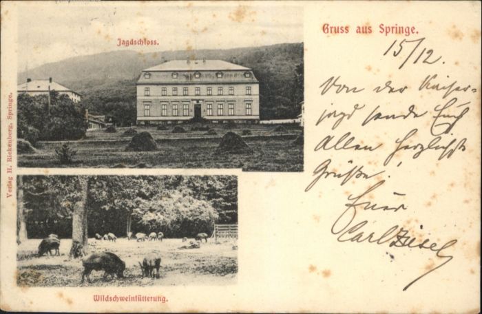 Springe Deister Jagdschloss Wildschwein