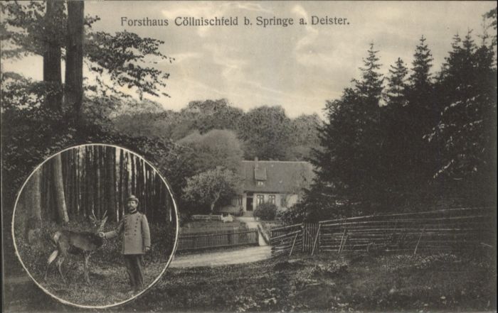 Springe Deister Forsthaus Köllnischfeld Jäger Reh *