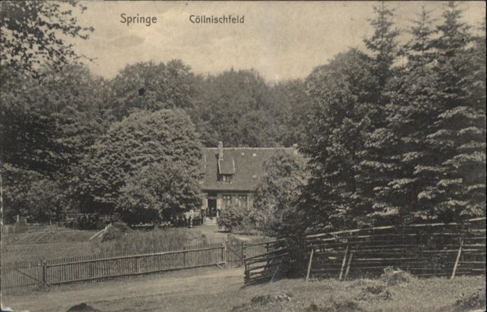 Springe Deister Cöllnischfeld