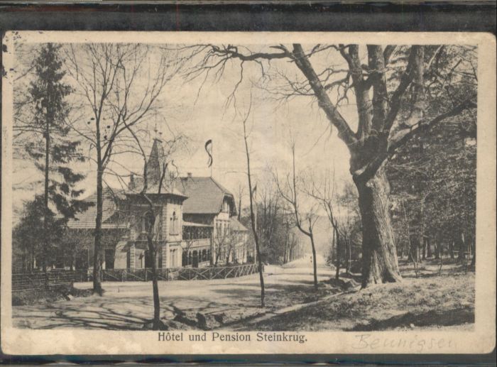 Bennigsen Deister Hotel Pension Steinkrug