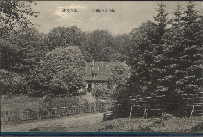 Springe Deister Cöllnischfeld