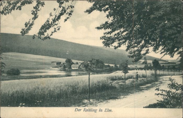 Reitling Elm