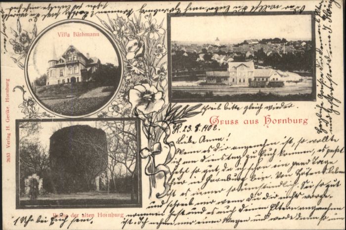 Boerssum illa Bäthmann Ruine Hornburg x