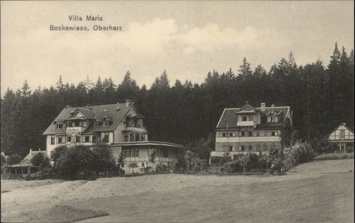 Hahnenklee-Bockswiese Harz Hahnenklee-Bockswiese Villa Maria