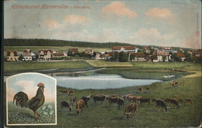 Hahnenklee-Bockswiese Harz Hahnenklee-Bockswiese Hahn