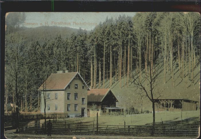 Seesen Harz Seesen Forsthaus Neckelnberg