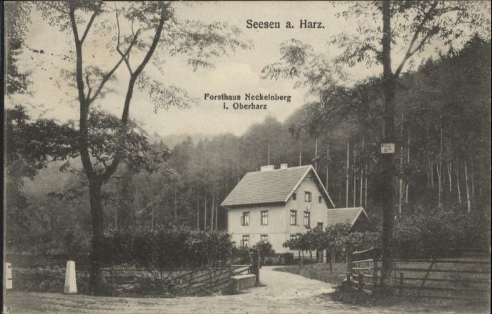 Seesen Harz Seesen Forsthaus Neckelnberg
