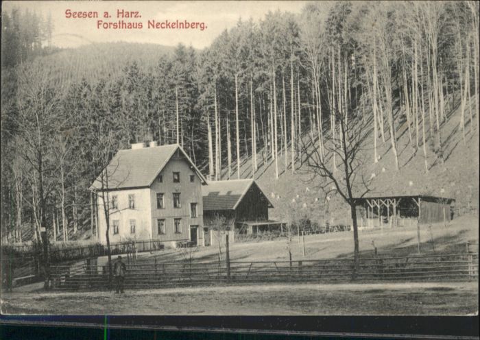Seesen Harz Seesen Forsthaus Neckelnberg