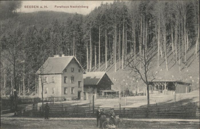 Seesen Harz Seesen Forsthaus Neckelnberg