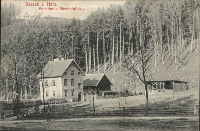Seesen Harz Seesen Forsthaus Neckelnberg