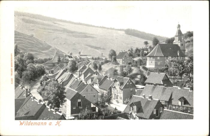 Wildemann Harz Goslar Niedersachsen Harz