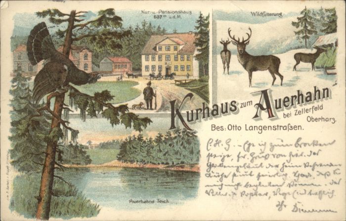 Clausthal-Zellerfeld Kurhaus Auerhahn Pension Auerhahn Hirsc