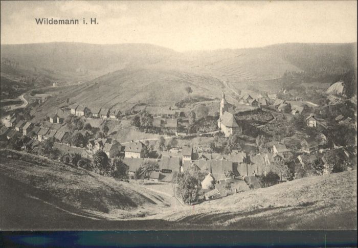 Wildemann Harz Goslar Niedersachsen Harz