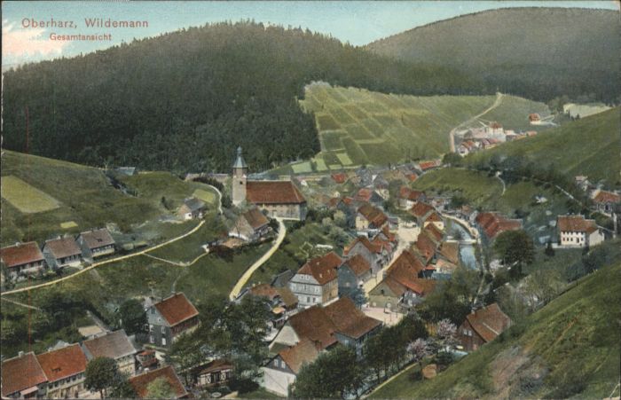 Wildemann Harz Goslar Niedersachsen Harz