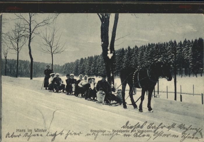 Braunlage Harz Rodelpartie Schlitten Pferd