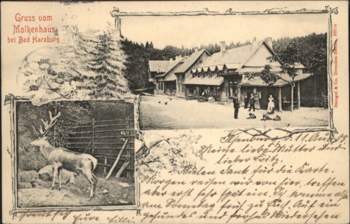 Bad Harzburg Molkenhaus Hirsch