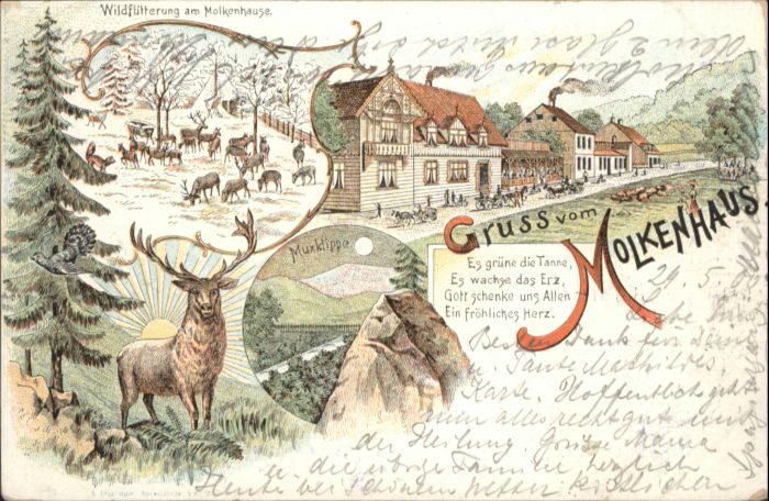 Bad Harzburg Molkenhaus Hirsch Muxklippe