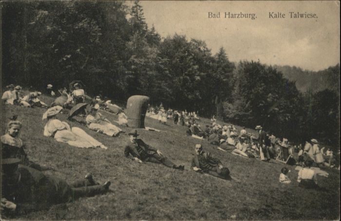 Bad Harzburg Kalte Talwiese