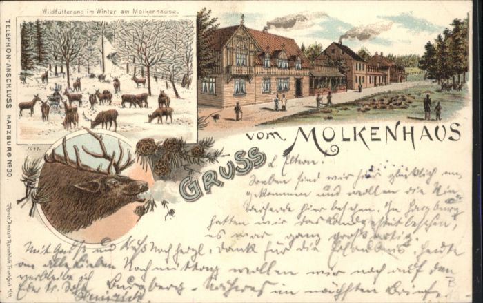 Bad Harzburg Molkenhaus Hirsch