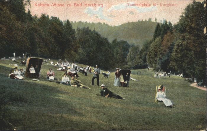 Bad Harzburg Kalte Talwiese