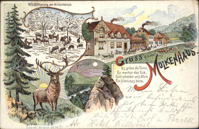 Bad Harzburg Molkenhaus Hirsch Muxklippe