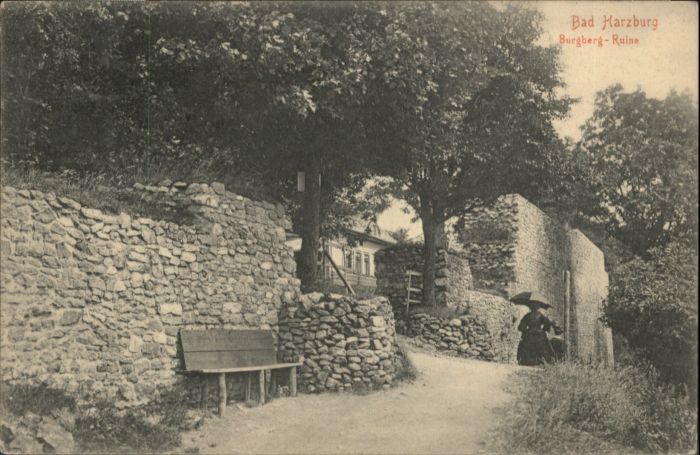 Bad Harzburg Burgberg Ruine