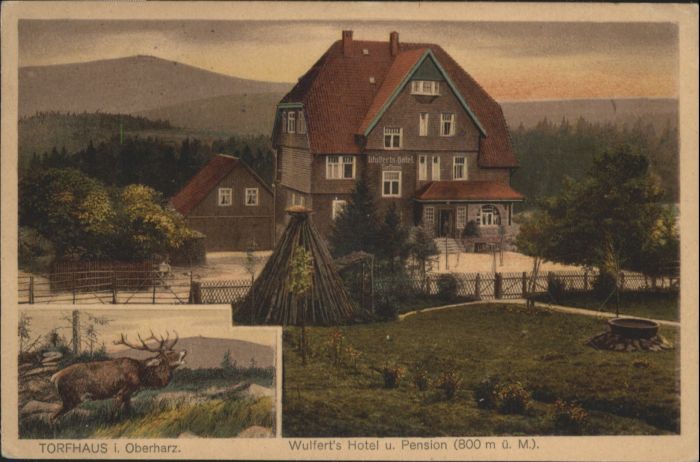 Torfhaus Harz Wulferts Hotel Pension Hirsch