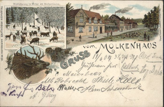Bad Harzburg Molkenhaus Hirsch Litho