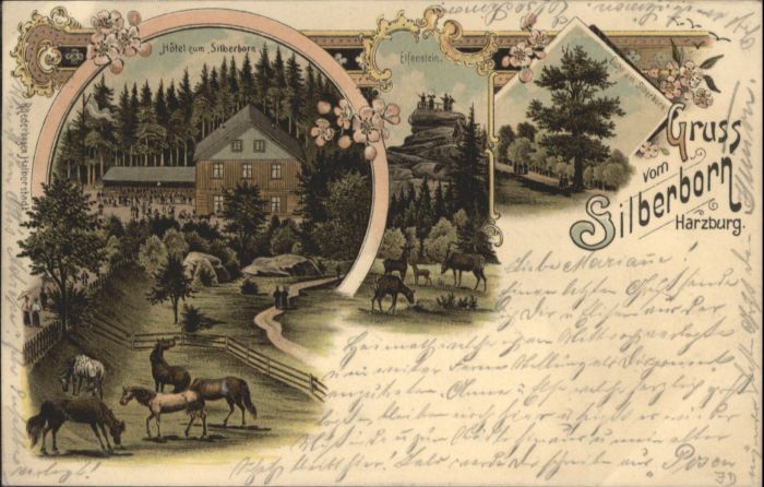 Bad Harzburg Silberborn Hotel Elfenstein Litho