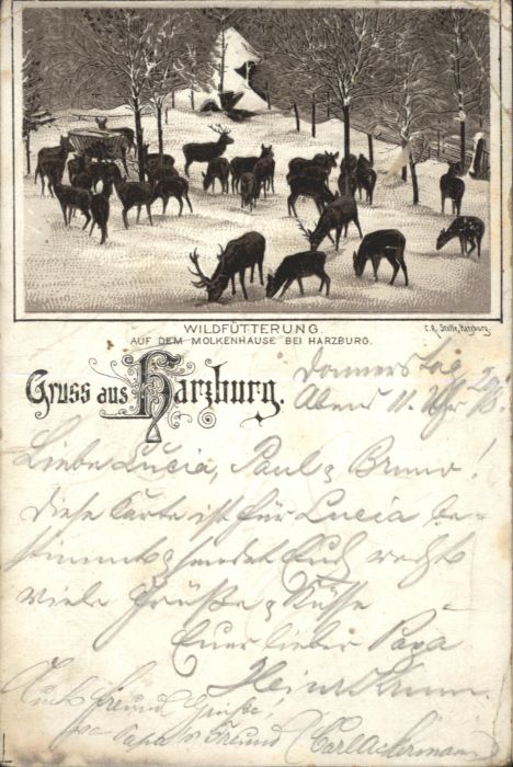 Bad Harzburg Molkenhaus Reh