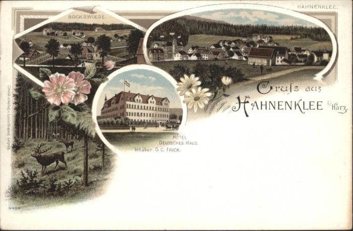 Hahnenklee-Bockswiese Harz Hahnenklee-Bockswiese Hotel Deutsches H