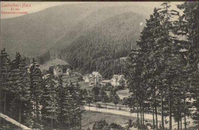 Lautenthal Harz Bismarckpromenade