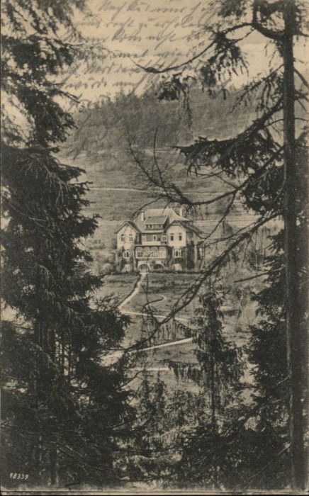 Altenau Harz Hotel Pension Villa Annenhöh