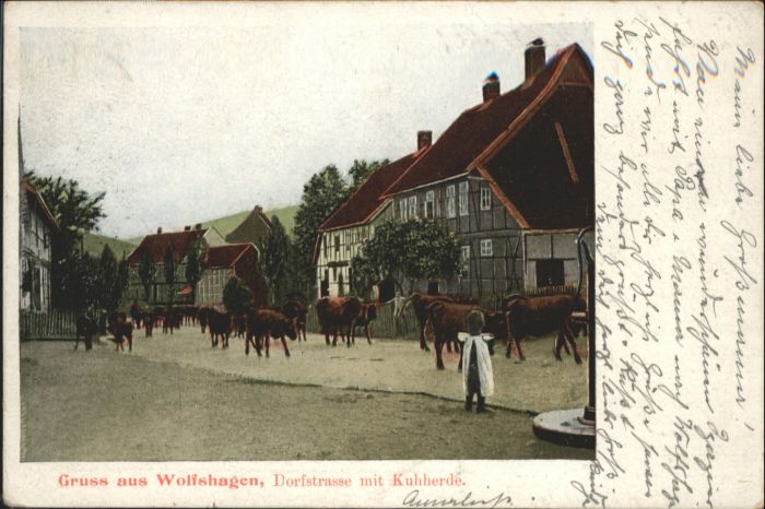Wolfshagen Harz Dorfstrasse Kuhherde