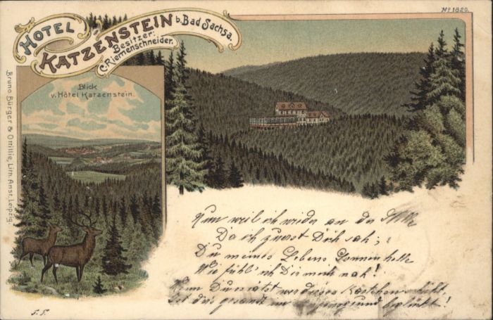 Bad Sachsa Harz Bad_Sachsa Hotel Katzenstein