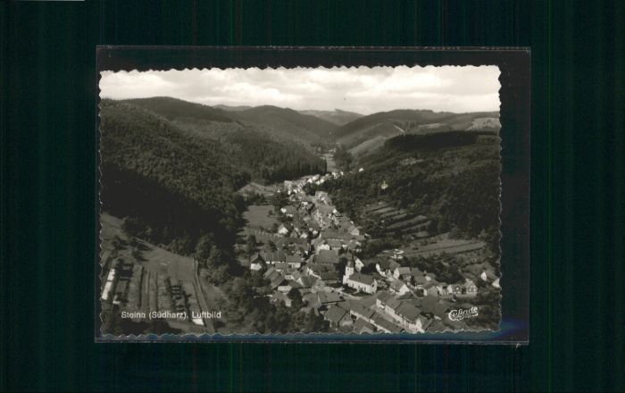 Steina Suedharz liegeraufnahme