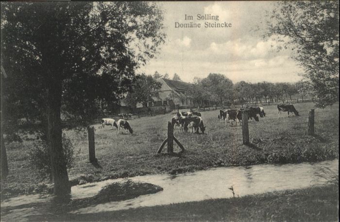 Solling Domaene Steincke
