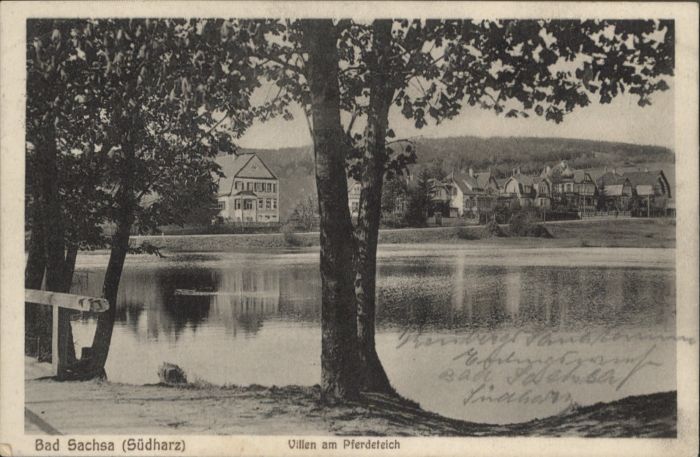 Bad Sachsa Harz Bad_Sachsa Villen Pferdeteich