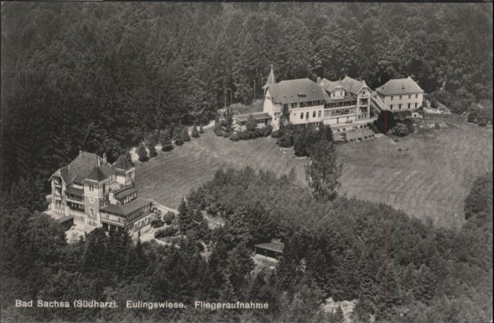 Bad Sachsa Harz Bad_Sachsa Eulingswiese Fliegeraufnahme