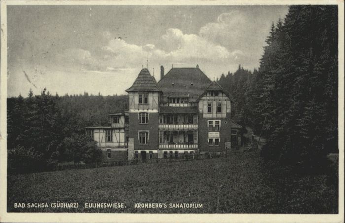 Bad Sachsa Harz Bad_Sachsa Eulingswiese Kronberg's Sana