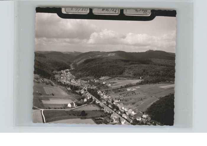 Steina Suedharz liegeraufnahme