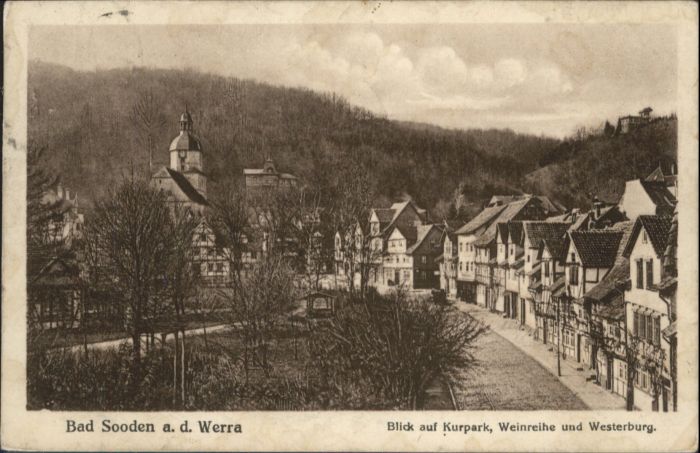 Bad Sooden-Allendorf Werra Kurpark Weinreihe Westerburg