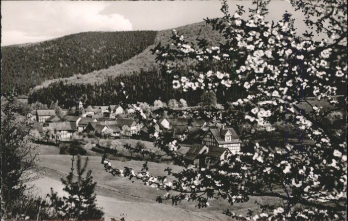 Ziegenhagen Witzenhausen Ziegenhagen Kreis Witzenhausen