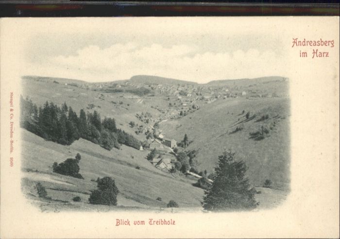 St Andreasberg Harz Treibholz