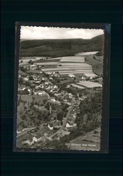 Boedexen öxter Fliegeraufnahme *